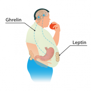 Check Your Current State